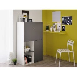 Top 10 😉 CONCEPT USINE Meuble Multi Fonction 2 Portes Gris - EKO 🤩 -VIDAXL Shop unnamed file 168