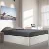 Coupon ???? Lit Coffre Avec Sommier Relevable 160x200 Cm MADRID ???? 1 Coupon ???? Lit Coffre Avec Sommier Relevable 160x200 Cm MADRID ???? -VIDAXL Shop unnamed file 2190