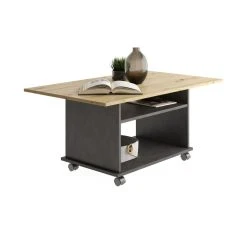 Vente flash ✨ Table Basse Rectangulaire Avec Rangement L100cm ZAO 😍 -VIDAXL Shop unnamed file 2527