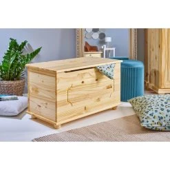 Top 10 ❤️ Coffre A Jouet EMEL Pin Massif 🛒 -VIDAXL Shop unnamed file 2590