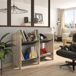 De gros 🌟 Meuble De Rangement Pour Vinyles L119xH80xP40cm ATLANTA 🎉